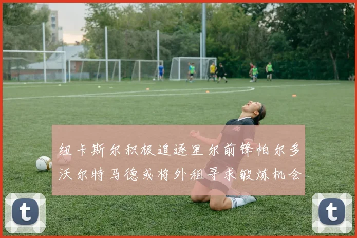 纽卡斯尔积极追逐里尔前锋帕尔多沃尔特马德或将外租寻求锻炼机会