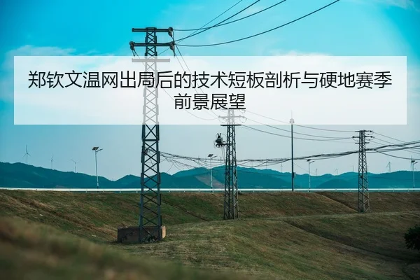 郑钦文温网出局后的技术短板剖析与硬地赛季前景展望（LEYU.COM）
